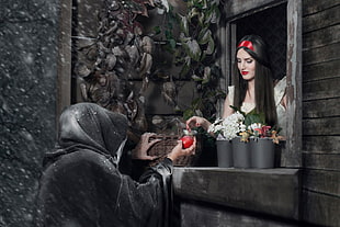 Snow White digital wallpaper, fairy tale, witch, Snow White