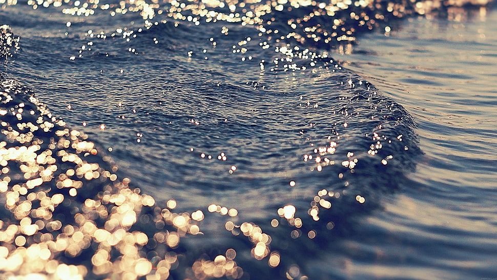 body of water, water, sea, waves, gold HD wallpaper