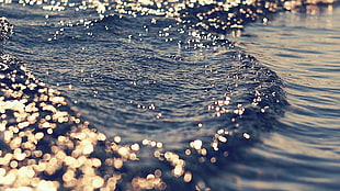 body of water, water, sea, waves, gold