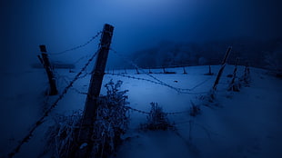 gray barbwire, dark, night, fence, cold