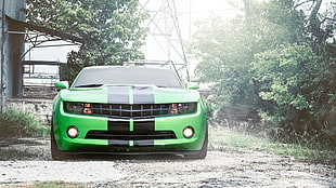 green and black car, Chevrolet, Chevrolet Camaro, car, green cars