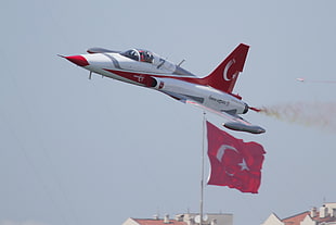 white and red jet, Turkish Stars, Turkish Air Force, Türk Yıldızları, Turkish