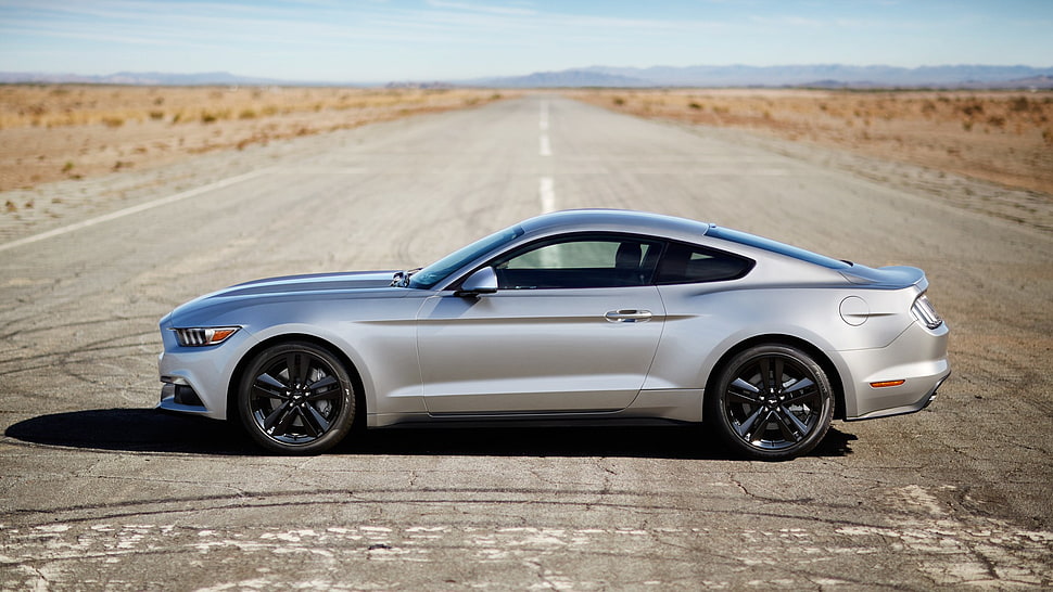 silver coupe, Ford, Ford Mustang, GT, 2015 HD wallpaper