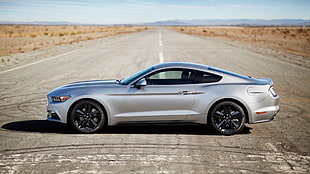 silver coupe, Ford, Ford Mustang, GT, 2015