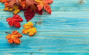 assorted-colored maple leaves, leaves, fall, wooden surface HD wallpaper