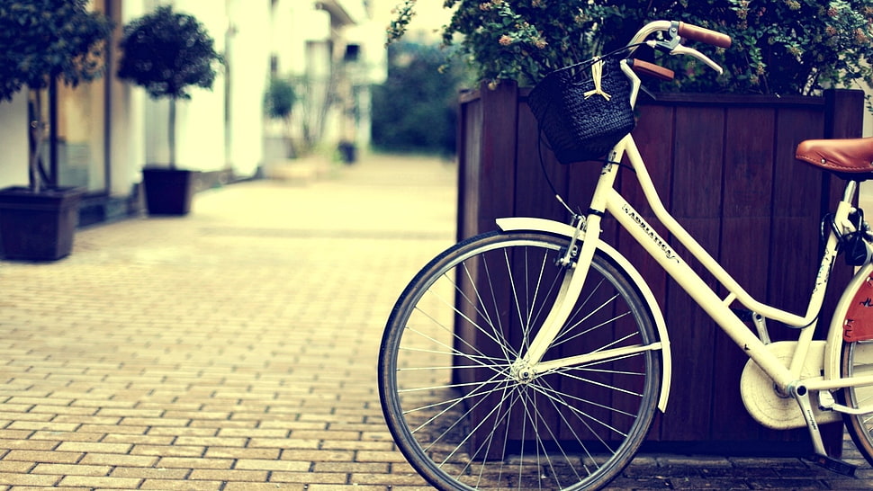 white step-through frame bike, bicycle HD wallpaper