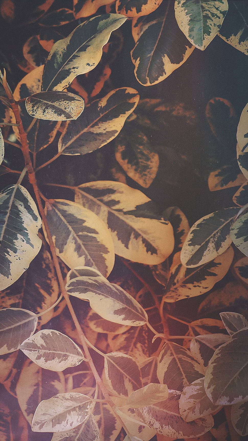 green and white leafed plant, pattern, vertical, portrait display, digital art HD wallpaper