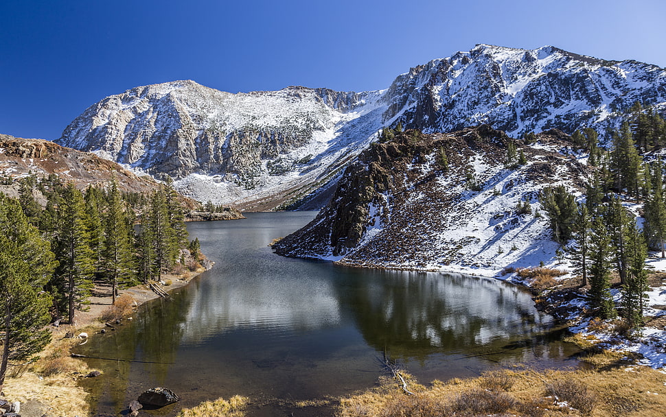 lake surrounded with trees and mountains HD wallpaper