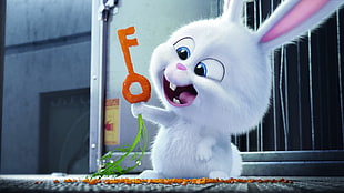 white rabbit cartoon character HD wallpaper