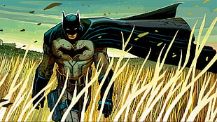 Batman poster, Batman, scott snyder, field, cape