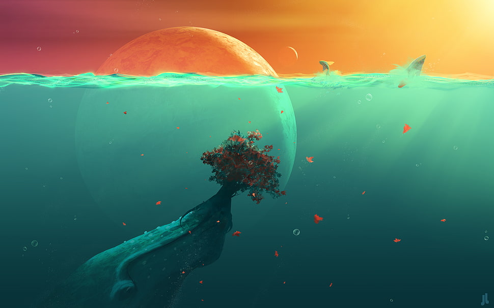 underwater photography of tree during sunsetr HD wallpaper