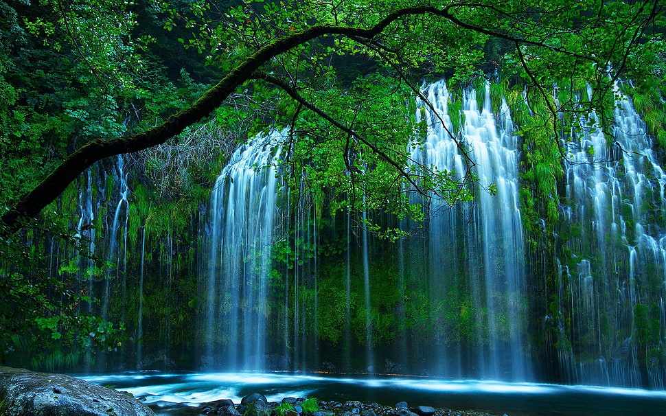 waterfalls near green leaf plants HD wallpaper