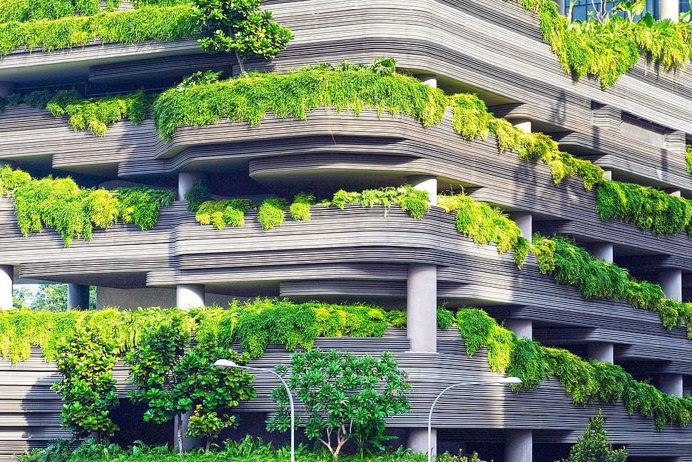 building with green plants HD wallpaper