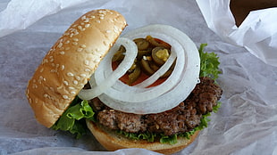 hamburger with lettuce and onion rings