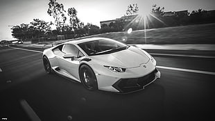white Lamborghini Huracan, Lamborghini, car, vehicle