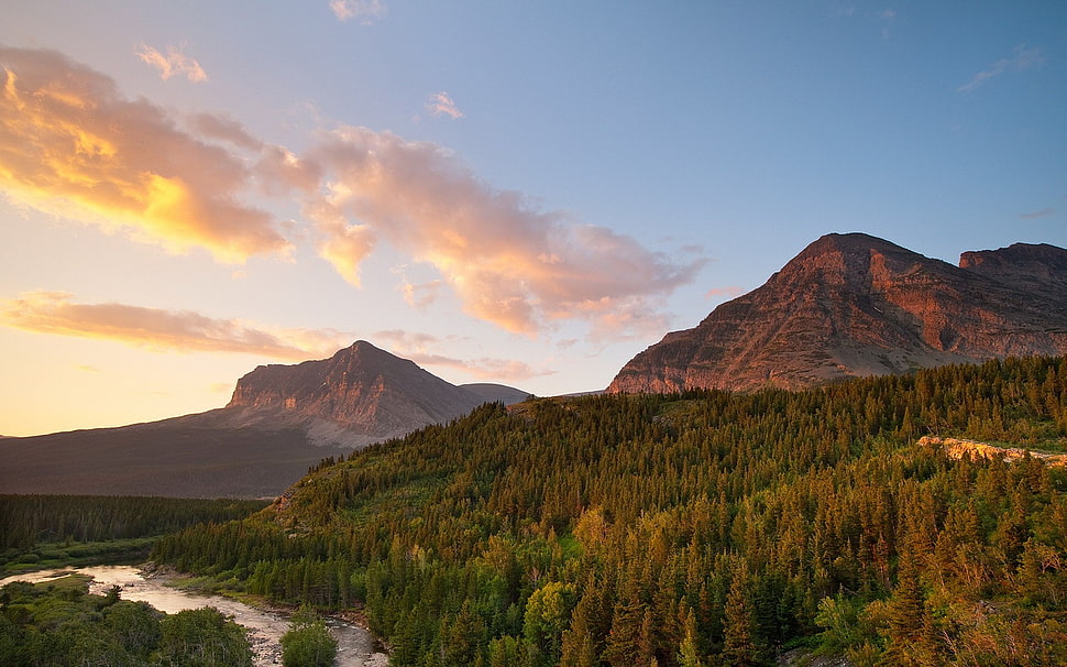 rocky mountain, trees, forest, mountains, river HD wallpaper