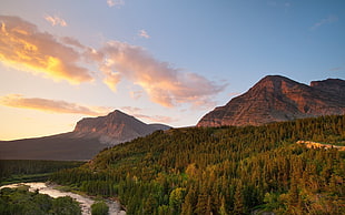 rocky mountain, trees, forest, mountains, river