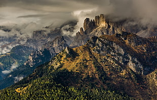 brown mountain, nature, landscape, Dolomites (mountains), forest