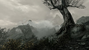 tree and sea cloud, fantasy art, The Elder Scrolls V: Skyrim