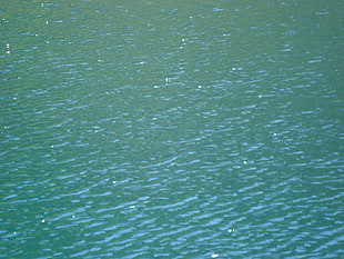photo of calm body of water, water