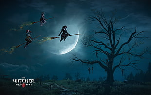 The Witcher III Wild Hunt digital wallpaper, The Witcher 3: Wild Hunt, artwork, video games, Triss Merigold