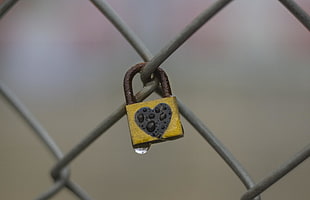 shallow focus photography of brass padlock on fence