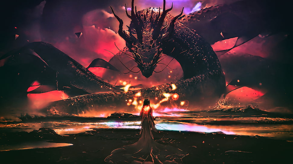 photo of man facing dragon digital wallpaper HD wallpaper