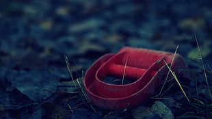 depth of field of red buckle on ground HD wallpaper