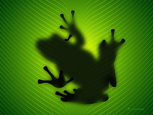 frog digital wallpaper, frog, amphibian, Vladstudio, silhouette