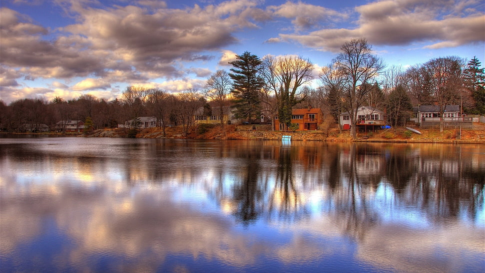 green leafed trees, lake, HDR, water, house HD wallpaper