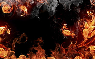 flame and smoke wallpaper, fire, flowers, digital art