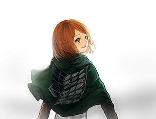 Attack On Titan character