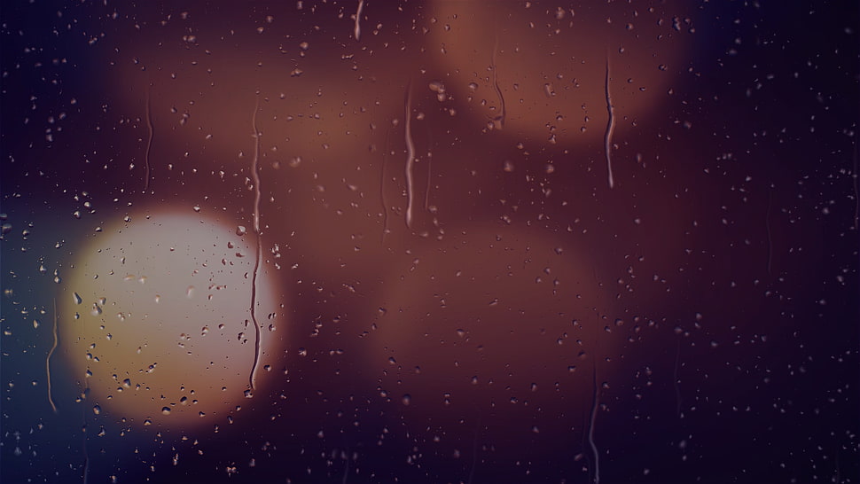 water drops, Drops, Glass, Glare HD wallpaper