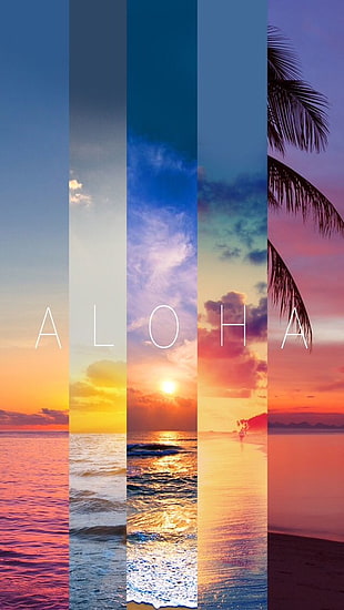 Aloha text
