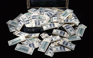 bunch of U.S. dollar bills