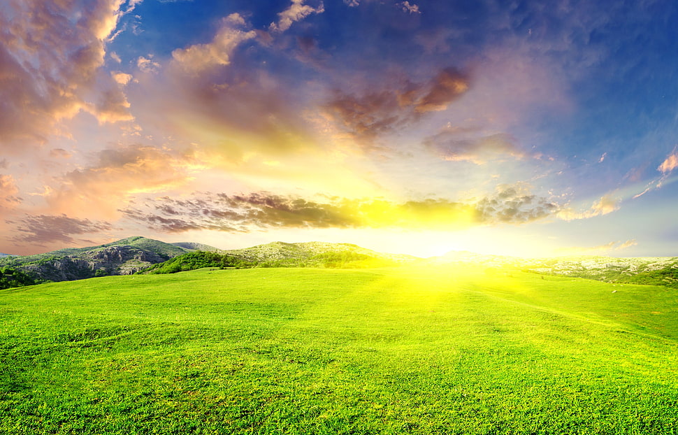 white and blue sea waves, field, grass, sunset HD wallpaper