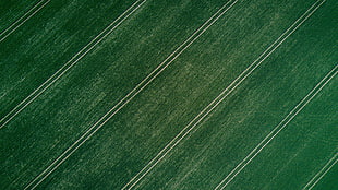 green and white area rug, photography, grass, field, aerial view