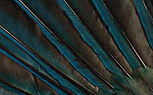 closeup photo of blue textile