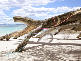 brown tree branch, beach, shapes, digital art, wood