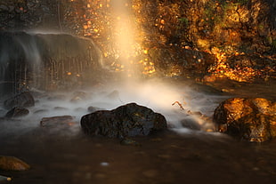 water falls in forest