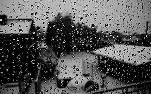 water droplets, rain, glass, monochrome, blurred