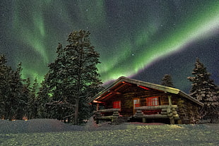 brown wooden cabin house under green northern lights