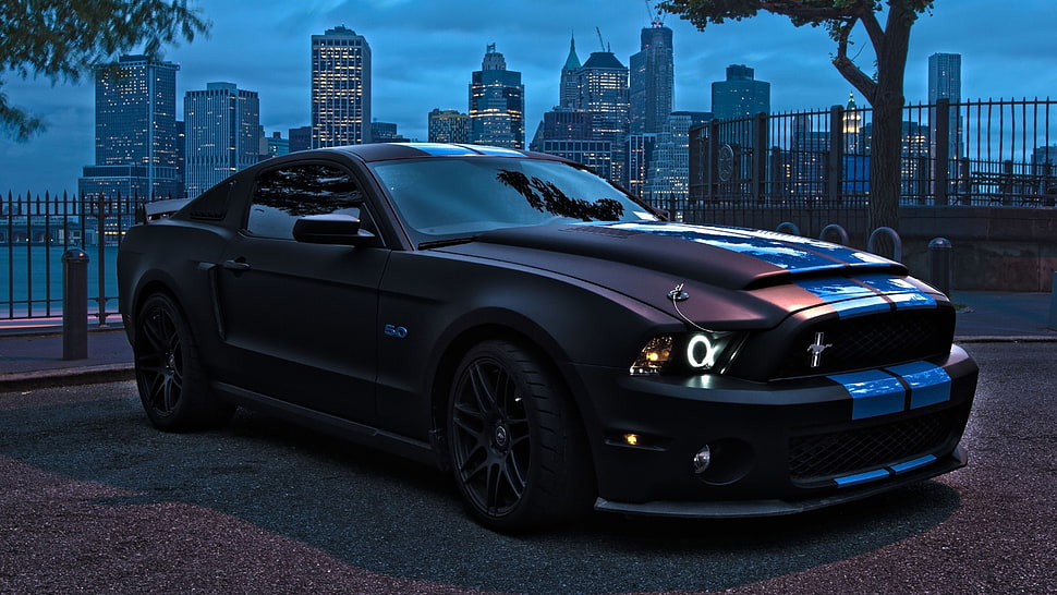 blue and maroon Ford Mustang coupe on road during nighttime HD wallpaper