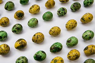 shallow focus of yellow and green squall eggs