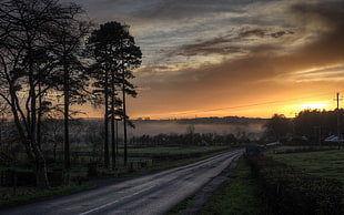 landscape photography of road in green grassland during sunset