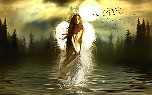 Fairy on body of water illustration HD wallpaper