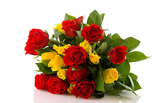 red and yellow Rose flowers HD wallpaper