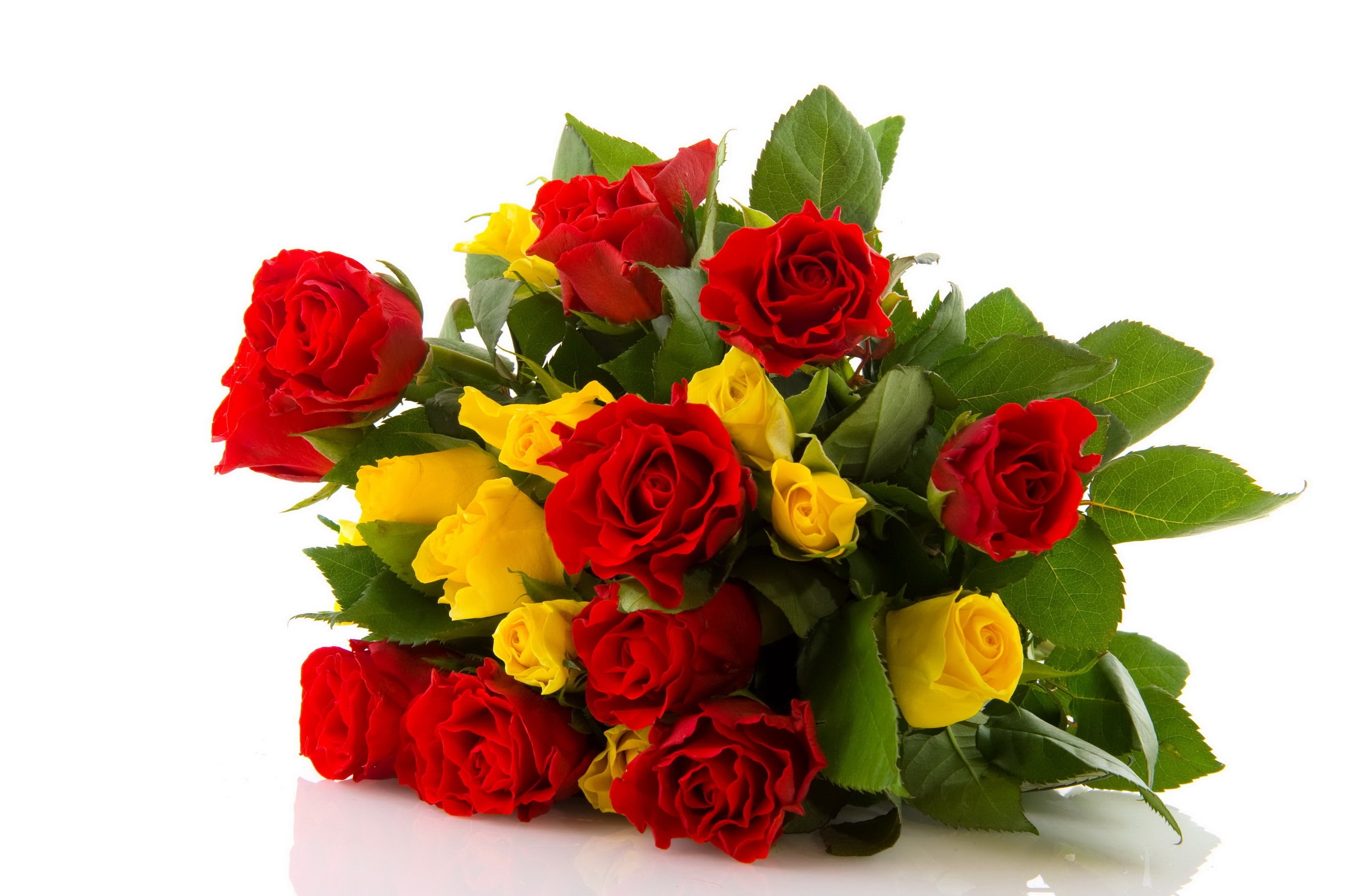 red and yellow Rose flowers