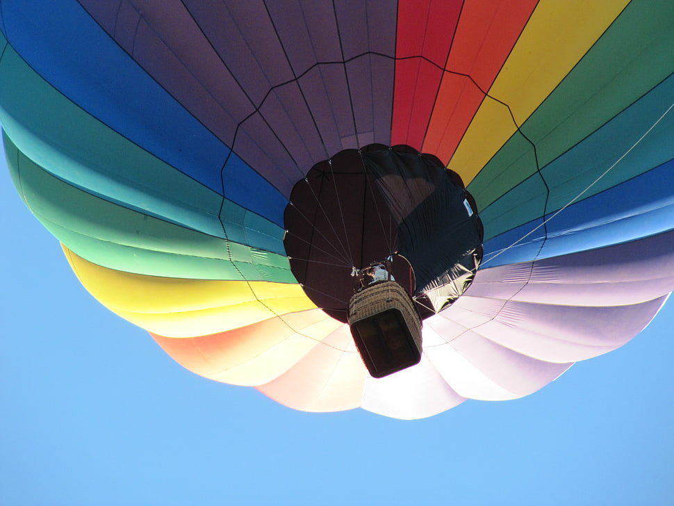 multicolored hot air balloon o HD wallpaper