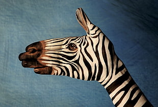 close up photo of zebra face painted hand
